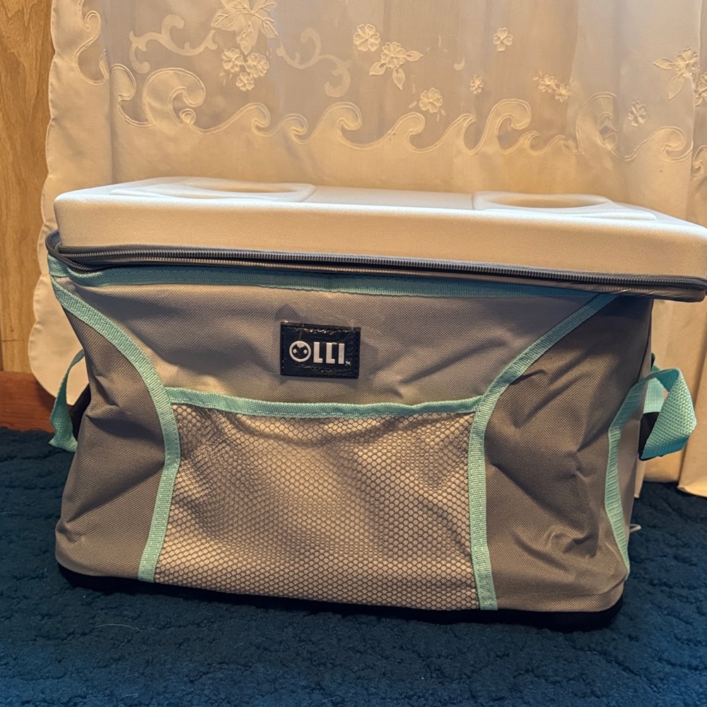 Gray and Teal OLLI Cooler Bag